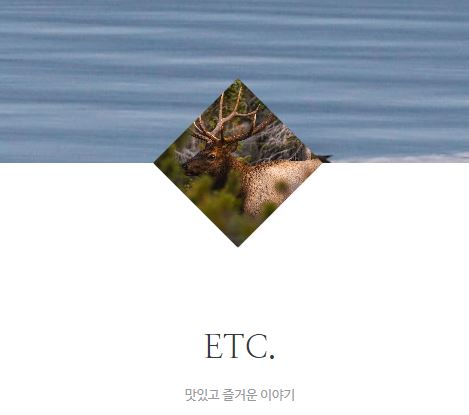 태상의 미니샵: 프리라이프와 타운하우스 라이프를 잇는 플랫폼