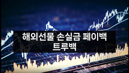 해외선물대여업체 트루백: 다양한 옵션과 서비스 제공