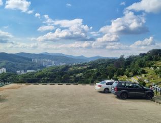 부부묘 가능한 용인수목장